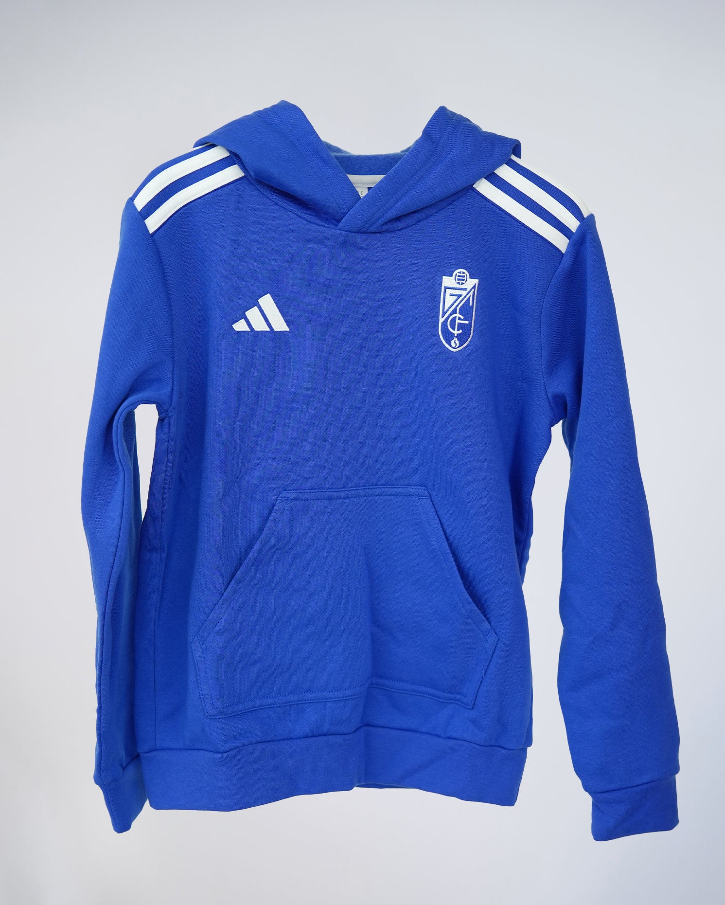 Hoodie Pre partido Segunda Equipación Niño adidas 25-26