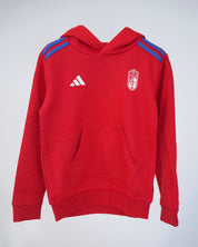 Hoodie Pre partido Primera Equipación Niño adidas 25-26