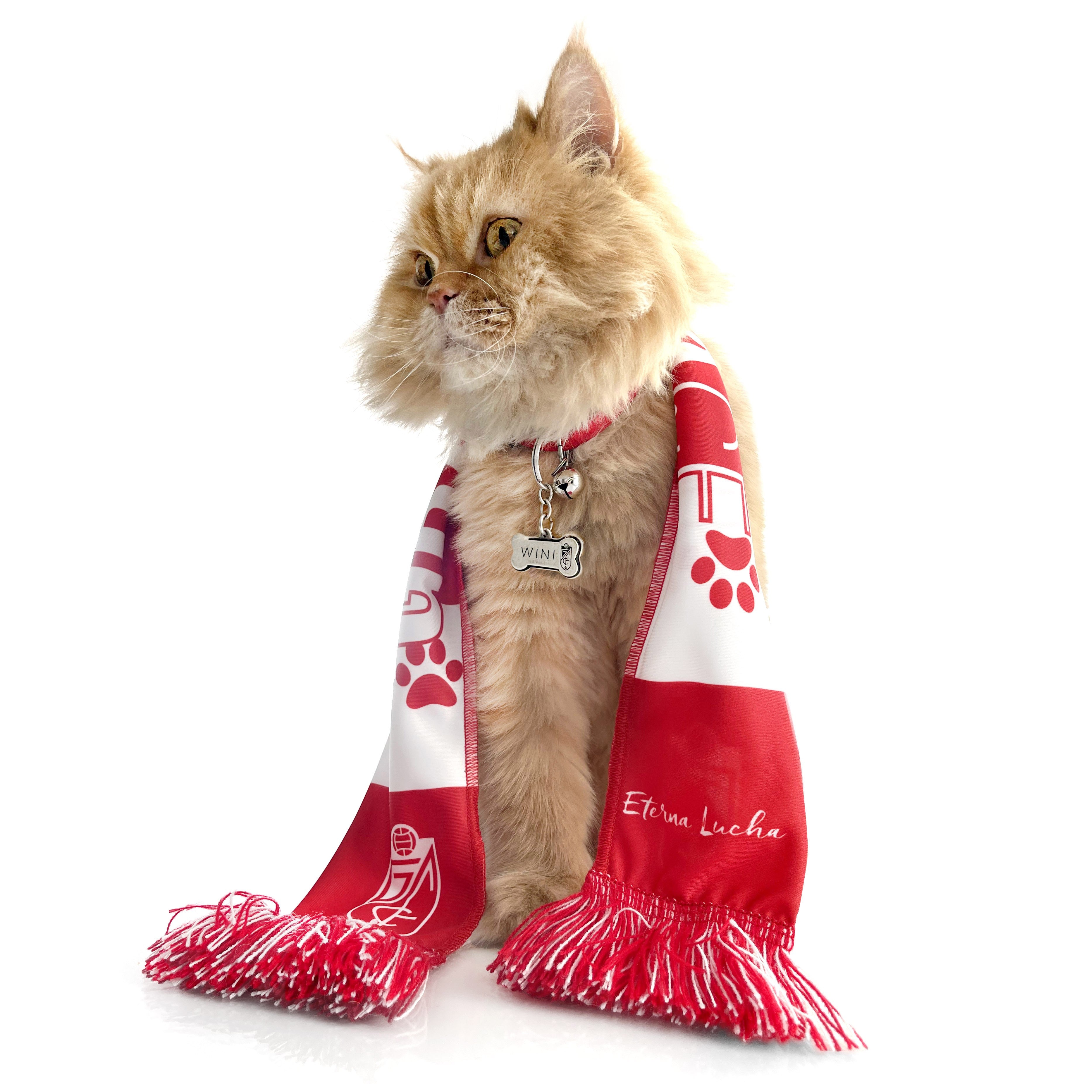 Bufanda Mascota Granada CF