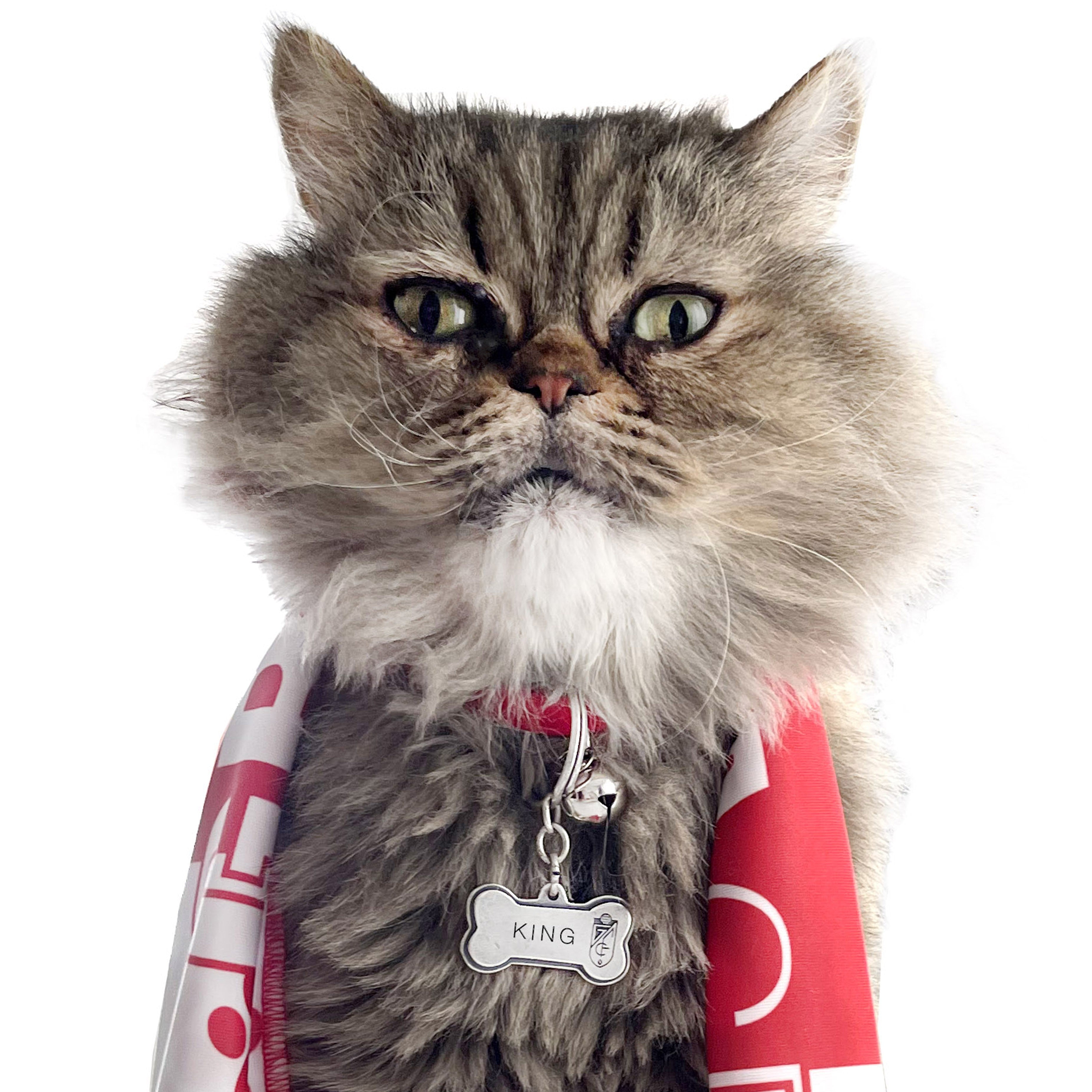 Bufanda Mascota Granada CF