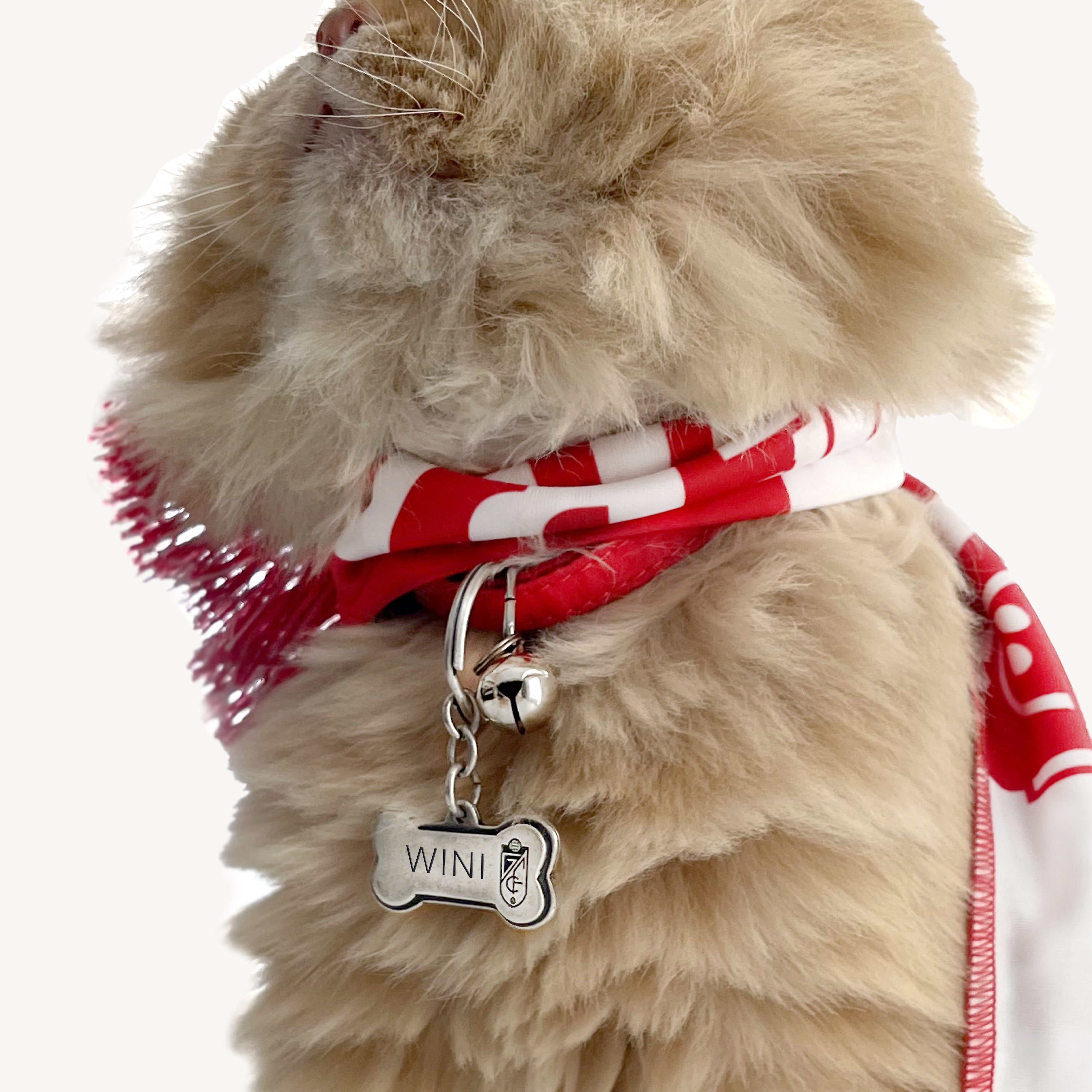 Medalla Personalizada Hueso Mascota Granada CF