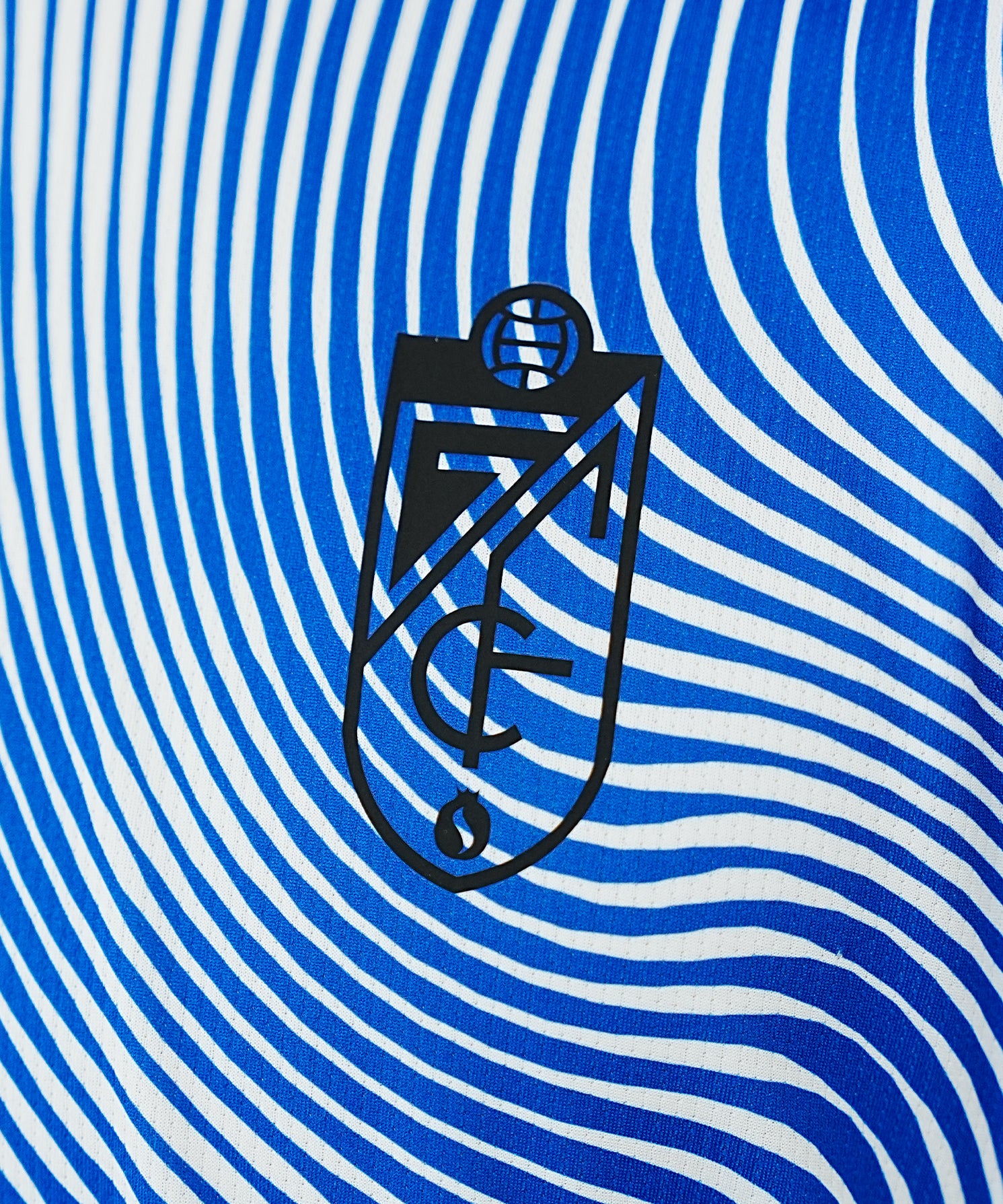 CAMISETA_AZUL_ESCUDO.jpg