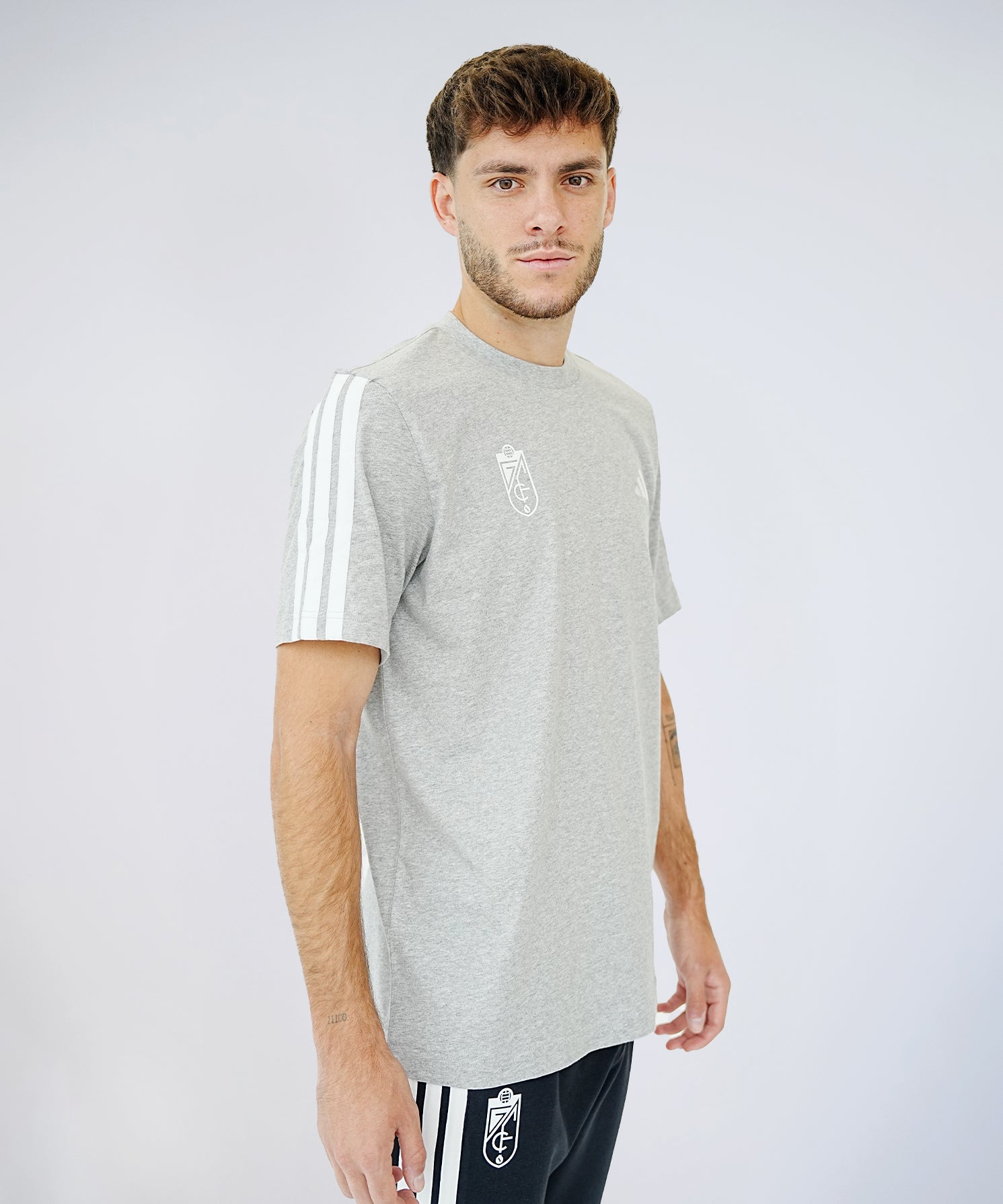 CAMISETA_GRIS_2.jpg
