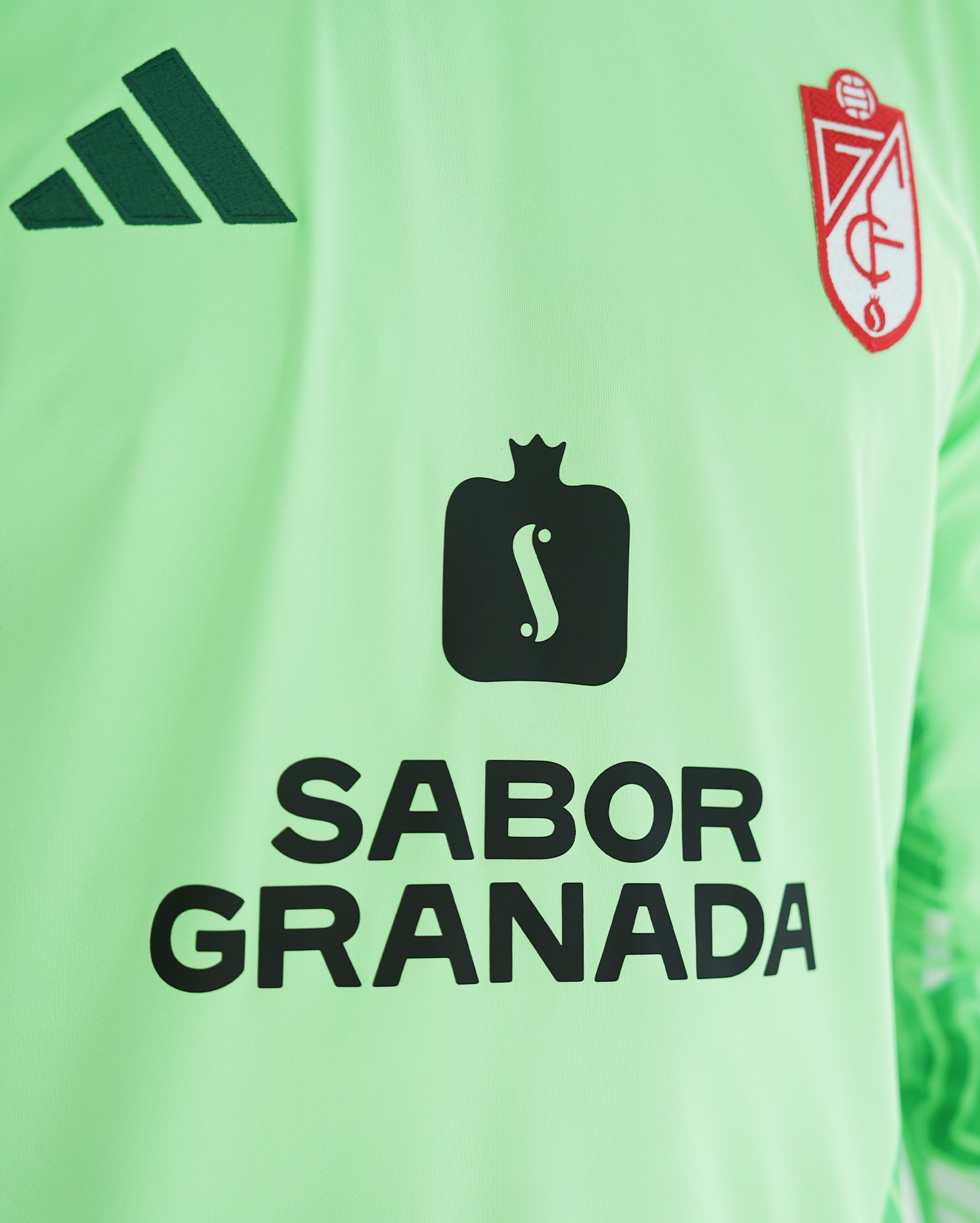 Camiseta M/L Portero Verde Hombre adidas 26-27