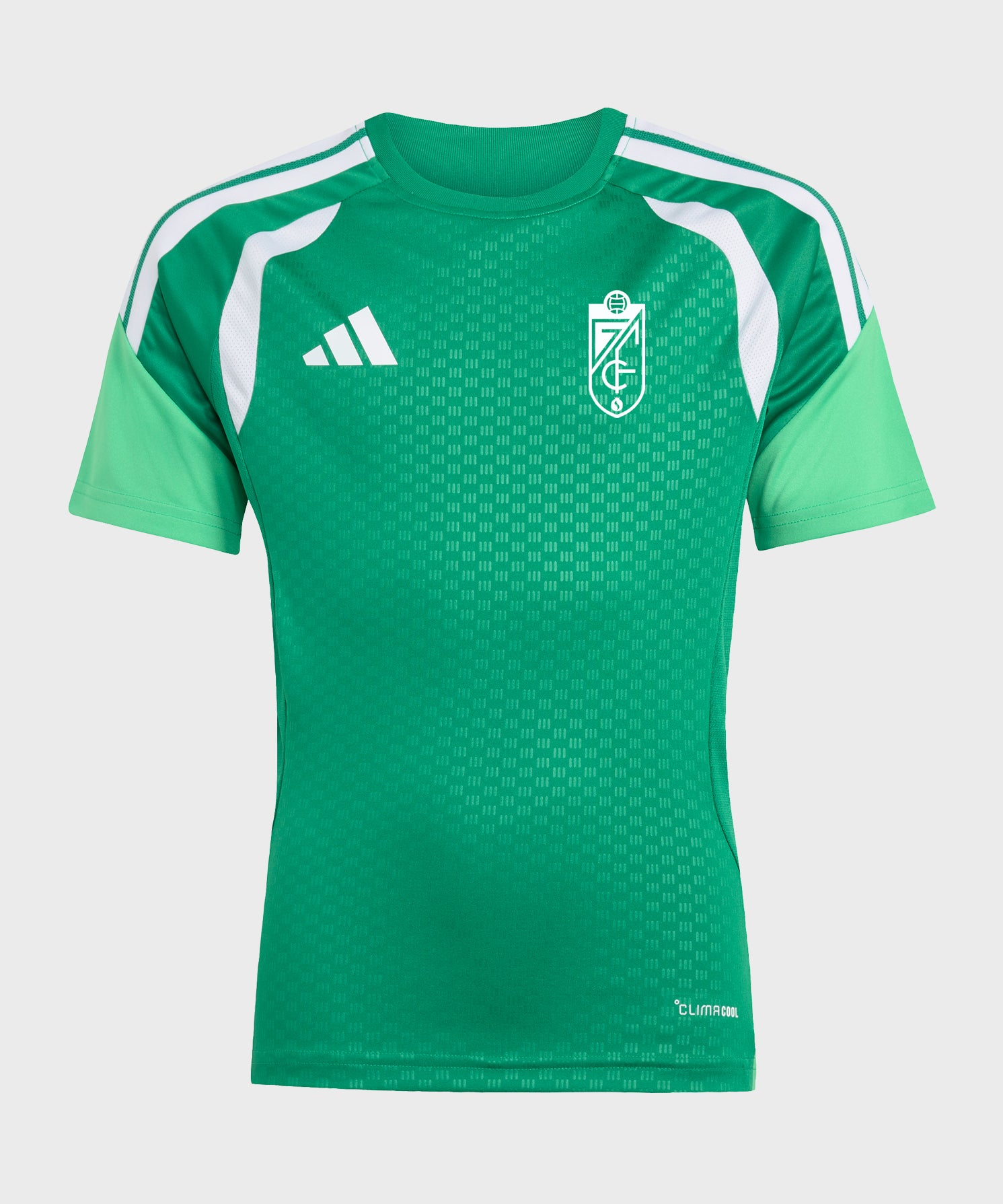 Camiseta-entreno-portero-verde-junior.jpg