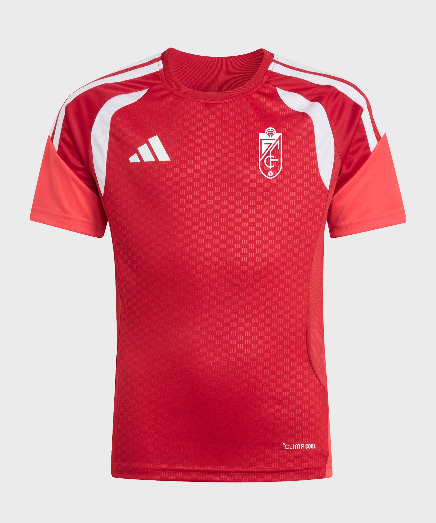 Camiseta-entreno-staff-junior.jpg