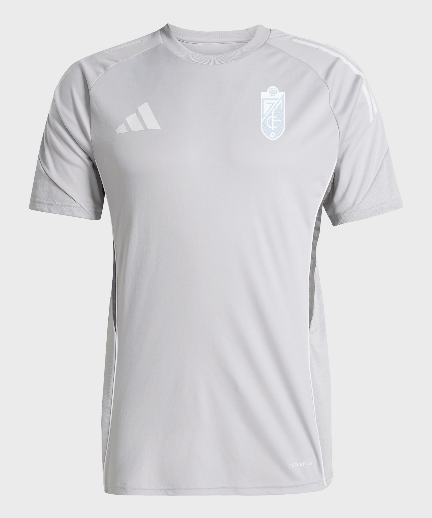 CamisetaentrenogrisADULTO_4b960291-b342-4401-adf8-7ccb6b89c288.jpg