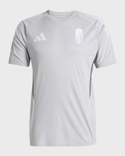 Camiseta Entreno Gris Adulto adidas 25-26