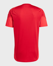 Camiseta Entreno Roja Hombre adidas 25-26