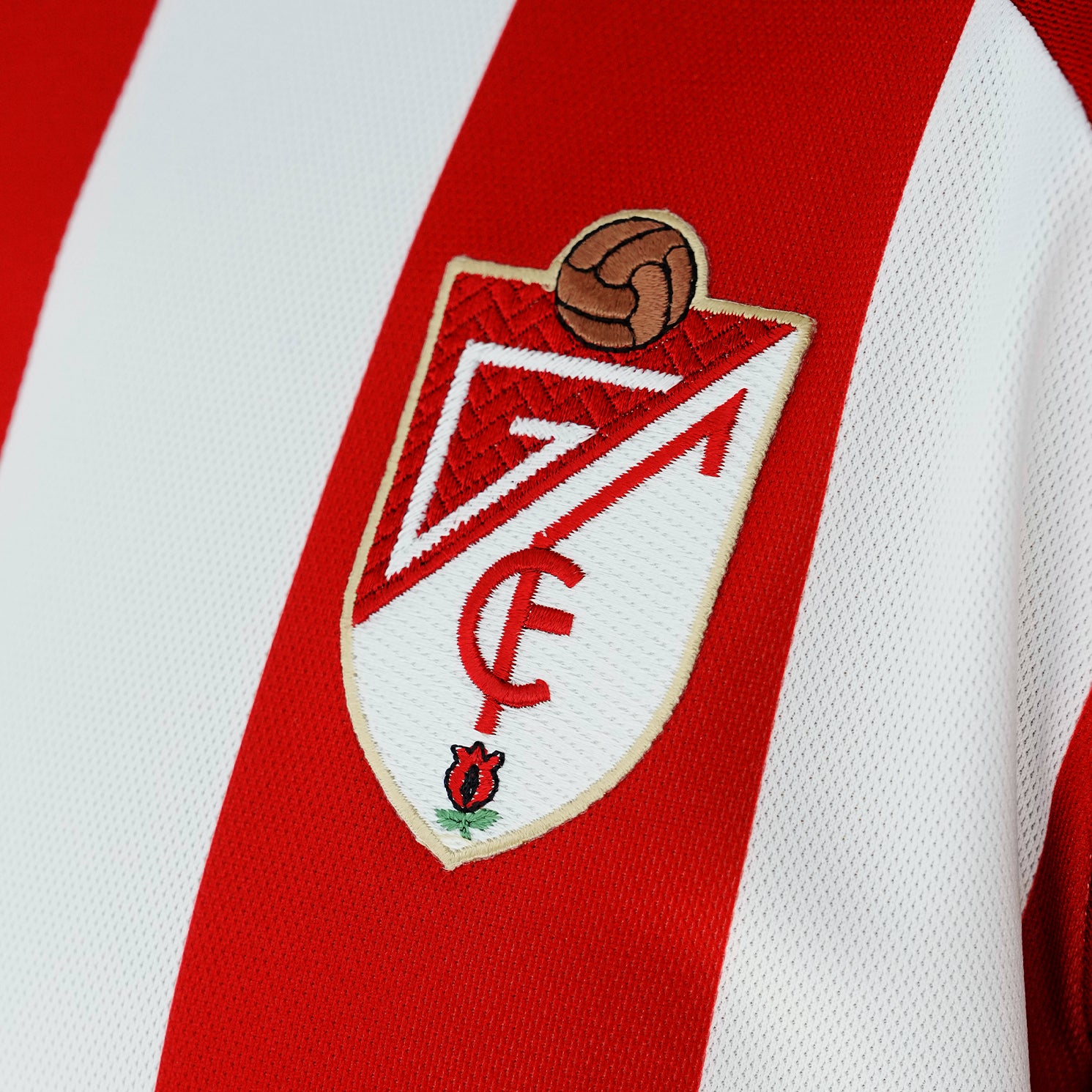 DETALLE_ESCUDO_f9113dcd-2cef-4e80-9118-82087a03aa71.jpg