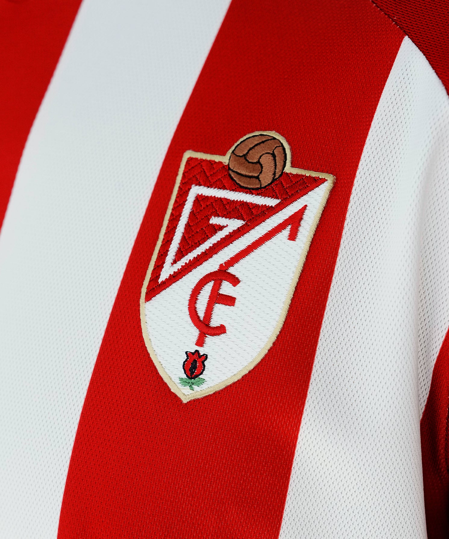 DETALLE_ESCUDO_f9113dcd-2cef-4e80-9118-82087a03aa71.jpg