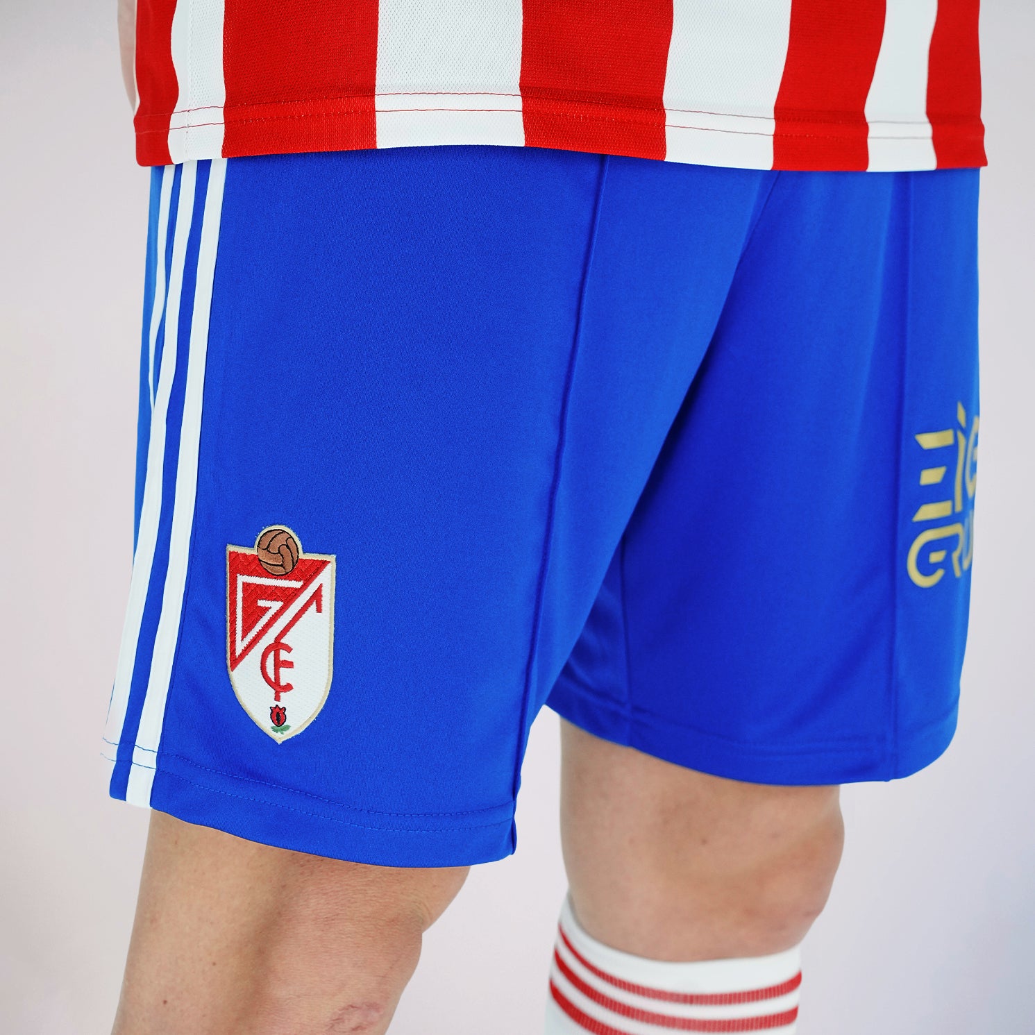Primera Equipación