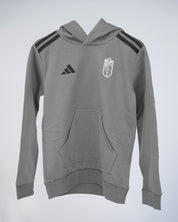 Hoodie Pre partido Tercera Equipación Niño adidas 25-26