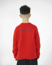 Sudadera Travel Roja Niño adidas 26-27