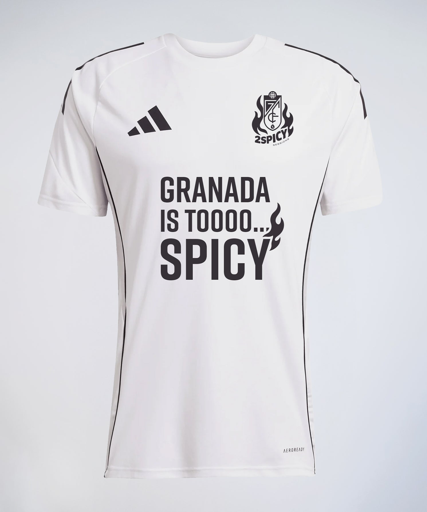 frontal_camiseta_2picy.jpg