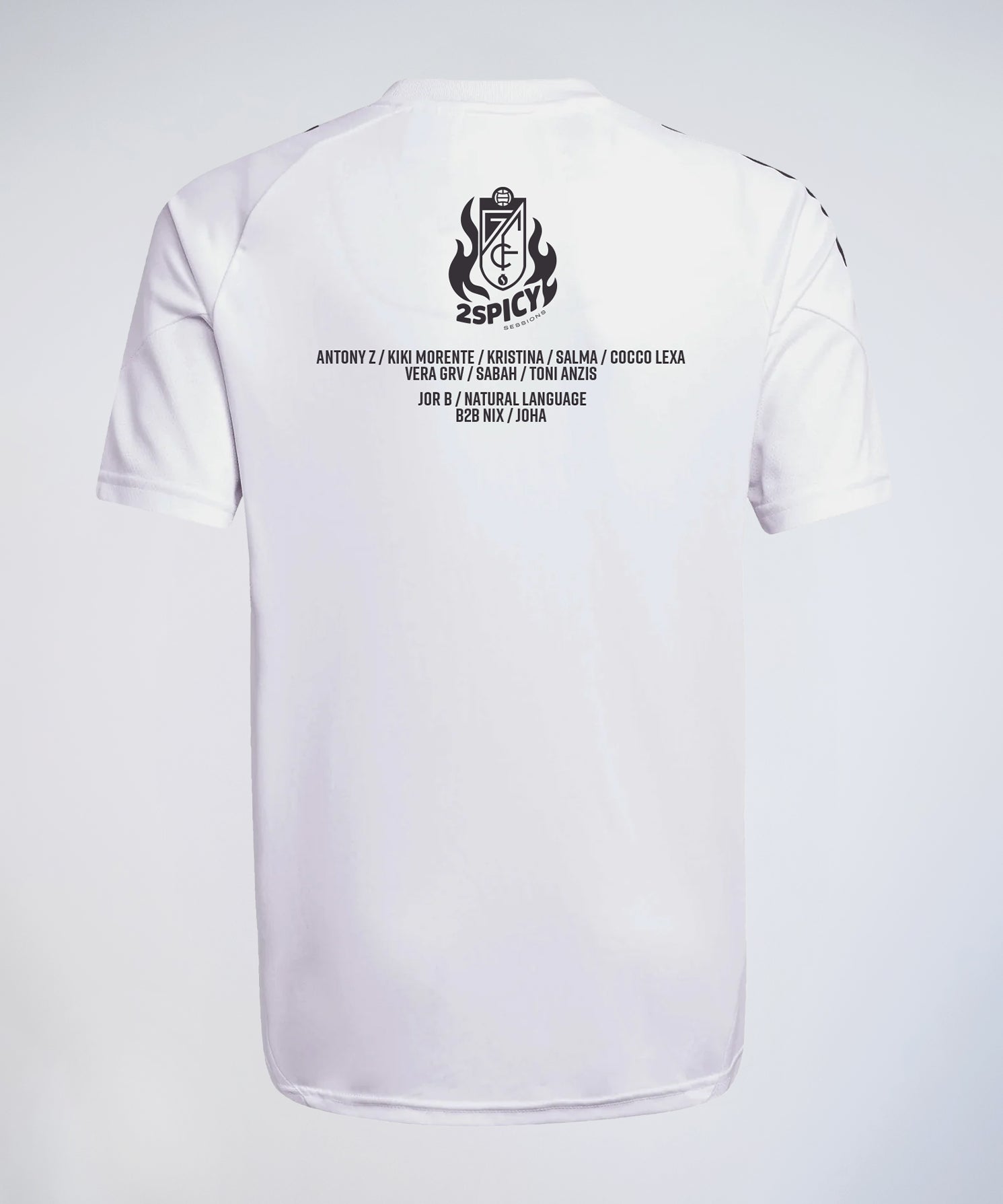 trasera_camiseta_2picy.jpg